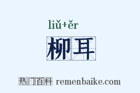 柳耳是什么意思的图片